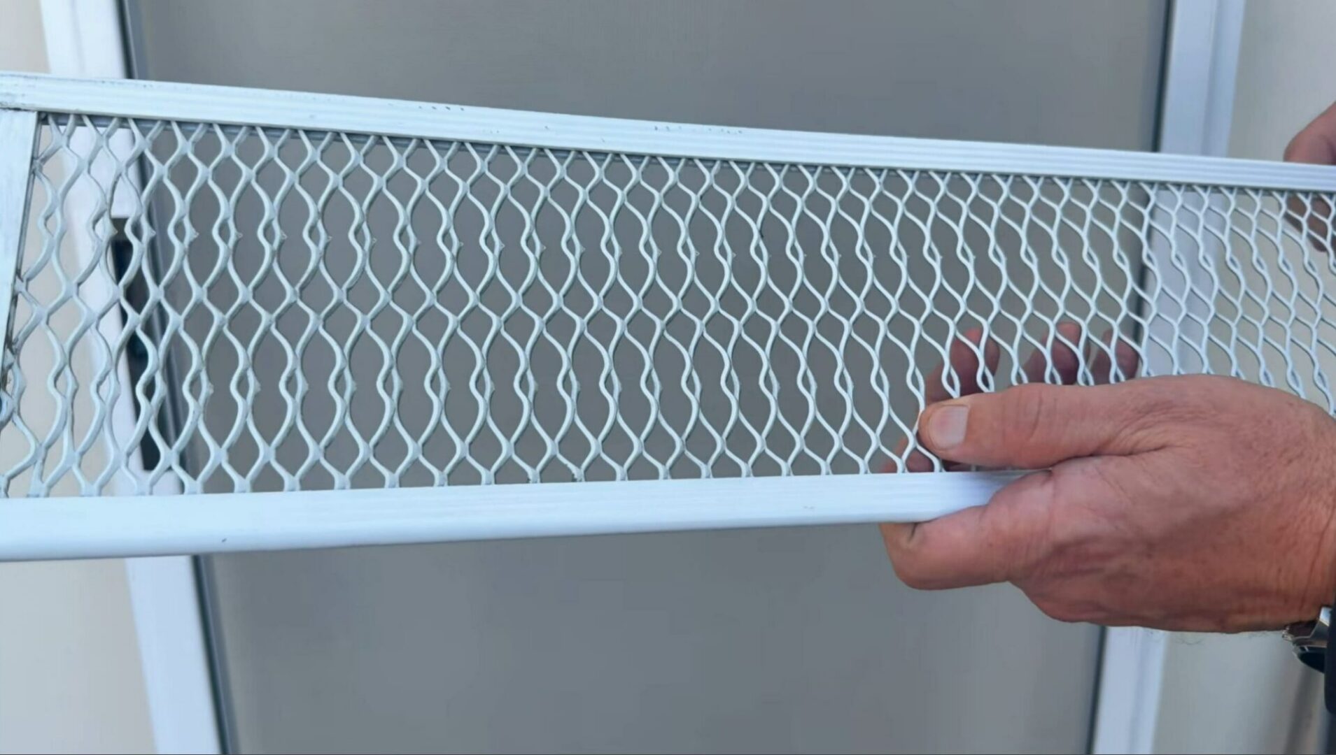 man holding small pet grille for smaller pets